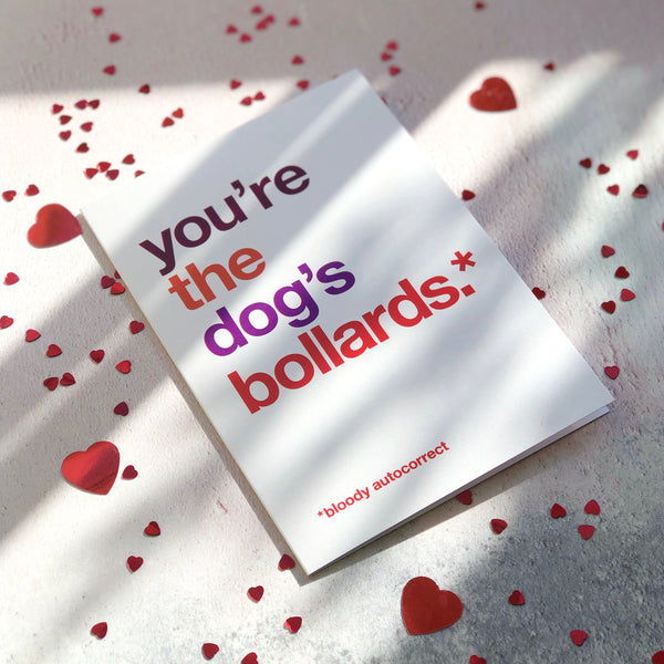 A funny greetings card autocorrected to say 'you're the dog's bollards'.