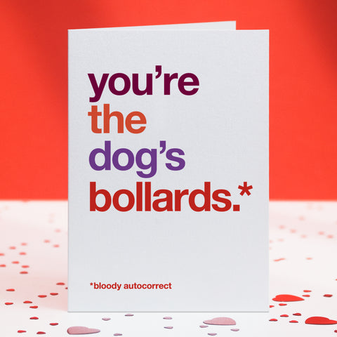 A funny greetings card saying 'you're the dog's bollards, bloody autocorrect'.